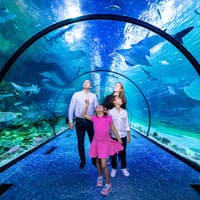 National Aquarium Abu Dhabi All Access Pass Tickets — gallery 2
