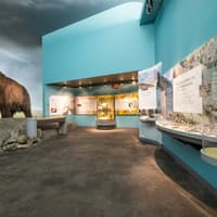 Royal BC Museum: Entry Ticket, The Royal BC Museum, Vancouver