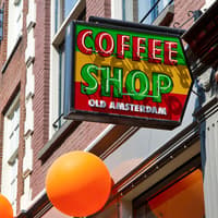 Amsterdam: Red Light District Guided Walking Tour — gallery 4