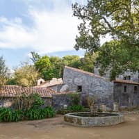Entry Ticket to Convento dos Capuchos