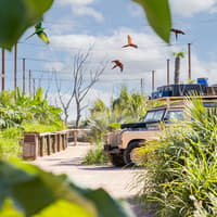 Parrot World: Annual Pass