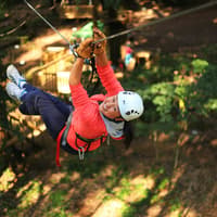 Treetops Adventure: Belgrave Park
