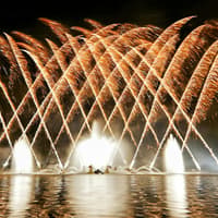 Versailles Night Fountains Show from Paris