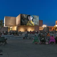 Everson Museum of Art: Entry Ticket