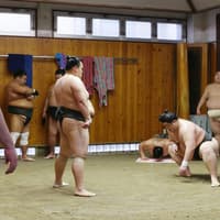 Premium Professional Sumo Morning Practice Experience in Asakusa