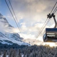 Jungfraujoch: Roundtrip Train from Grindelwald