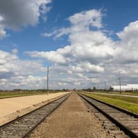 Auschwitz-Birkenau: One-Way Shuttle to/from Krakow