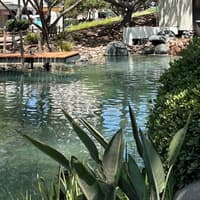 San Diego: Waterfront Walking Food Tour + Carousel Ride — gallery 4