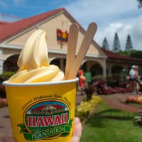 Waimea Valley: Guided Waterfall Hike & Swim Tour from Waikiki — gallery 2
