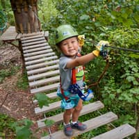 Treetops Adventure: Belgrave Park — gallery 1