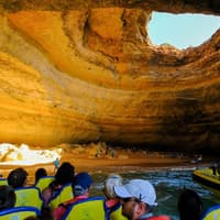 2 Hour Guided Dolphin Watching and Cave Cruise in Algarve — gallery 5