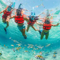 Xcaret Park: Entry Ticket — gallery 3
