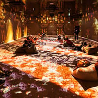 بلیط ورود به نمایشگاه تعاملی وایکینگ‌ها, The Viking Immersive Exhibition, Rouen