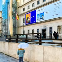 Museo del Prado & Reina Sofía Museum Guided Tour with Skip-the-Line Tickets — gallery 5