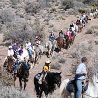 Wild Wild West Sunset Horseback Ride + Dinner — gallery 1