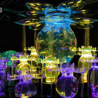 Art Aquarium Museum Ginza Tickets — gallery 2