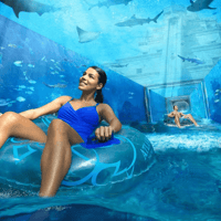 Atlantis Aquaventure Waterpark Tickets: Pair Up & Save Offer — gallery 4
