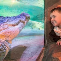 SEA LIFE Melbourne Aquarium Tickets — gallery 4