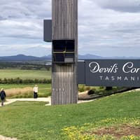 From Launceston: Guided Walking Tour of Wineglass Bay — gallery 5