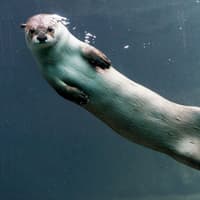 Woodland Park Zoo: Skip The Line Ticket — gallery 1