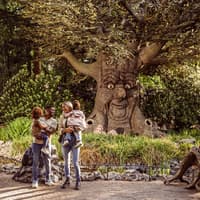 Efteling: Indgangsbillet, Efteling, Kaatsheuvel