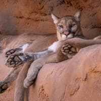 Phoenix Zoo: Entry Ticket — gallery 1