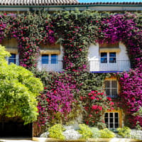 Tickets to Palacio de las Dueñas with Audio Guide — gallery 3