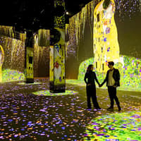 Port des Lumières Entry Tickets — gallery 4