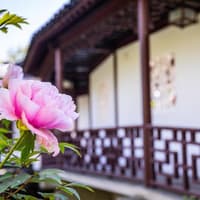 Dr. Sun Yat-Sen Chinese Garden: Entry Ticket + Guided Tour Option — gallery 4