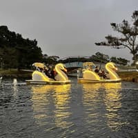 Long Beach: Swan Boat Rental at Rainbow Lagoon — gallery 4