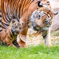 Golden Pass London: Choose from 10+ Attractions — gallery 2