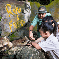 Sunway Lost World Hot Springs & Night Park Tickets — gallery 2