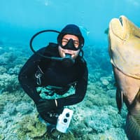 Hurghada: Scuba Diving Adventure + Transfers + Lunch — gallery 3