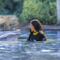Discovery Cove: Entry Ticket — gallery 4