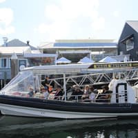 Mooloolaba: Guided Speedboat Tour — gallery 1