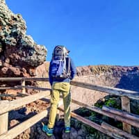 From Naples: Mount Vesuvius Entry Tickets with Round-Trip Transfers — gallery 4