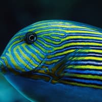 Cairns Aquarium by Twilight — gallery 4