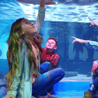 SeaQuest Las Vegas — gallery 1