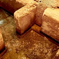 Trevi Fountain Rome: 40-Min Underground Domus Guided Tour — gallery 4