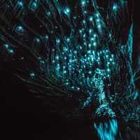 Aranui Cave Guided Tour — gallery 5