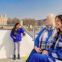 Thames Sightseeing Cruise with Flexible Time and Departure Pier — gallery 2