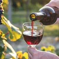 Chianti Region Guided Tour with Local Tastings and Vineyards — gallery 1