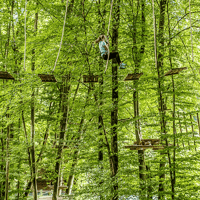 Interlaken High Ropes Park Tickets — gallery 2