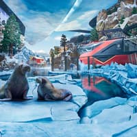SeaWorld Abu Dhabi Tickets — gallery 3