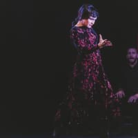 Casa Ana Flamenco Show — gallery 3