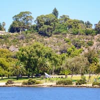 From Perth: Swan River Scenic Cruise — gallery 4