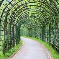 From Munich: Full-Day Guided Tour of Neuschwanstein & Linderhof Palace Grounds — gallery 4