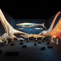 Prehistoric Planet: Discovering Dinosaurs — gallery 1