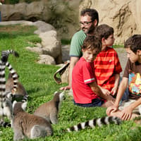 Bioparc Valencia Tickets — gallery 2