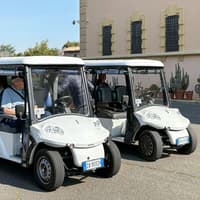 Eternal City Highlights Golf Cart Tour with Gelato - 3 hr — gallery 5